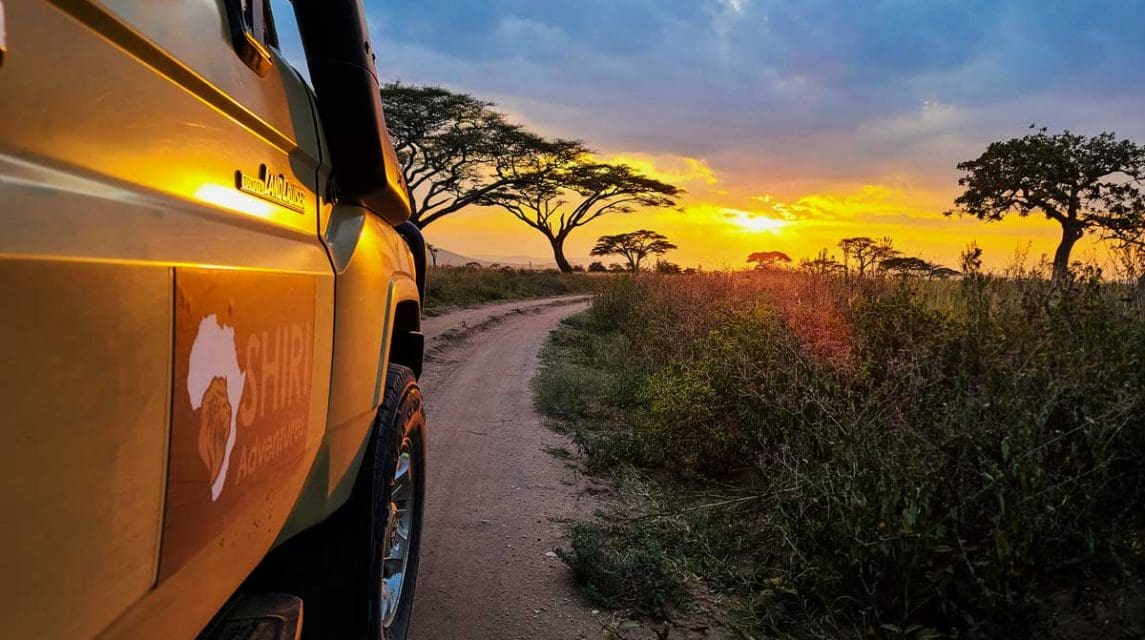 Authentic Tanzania Safari – What to Expect in 2023?
