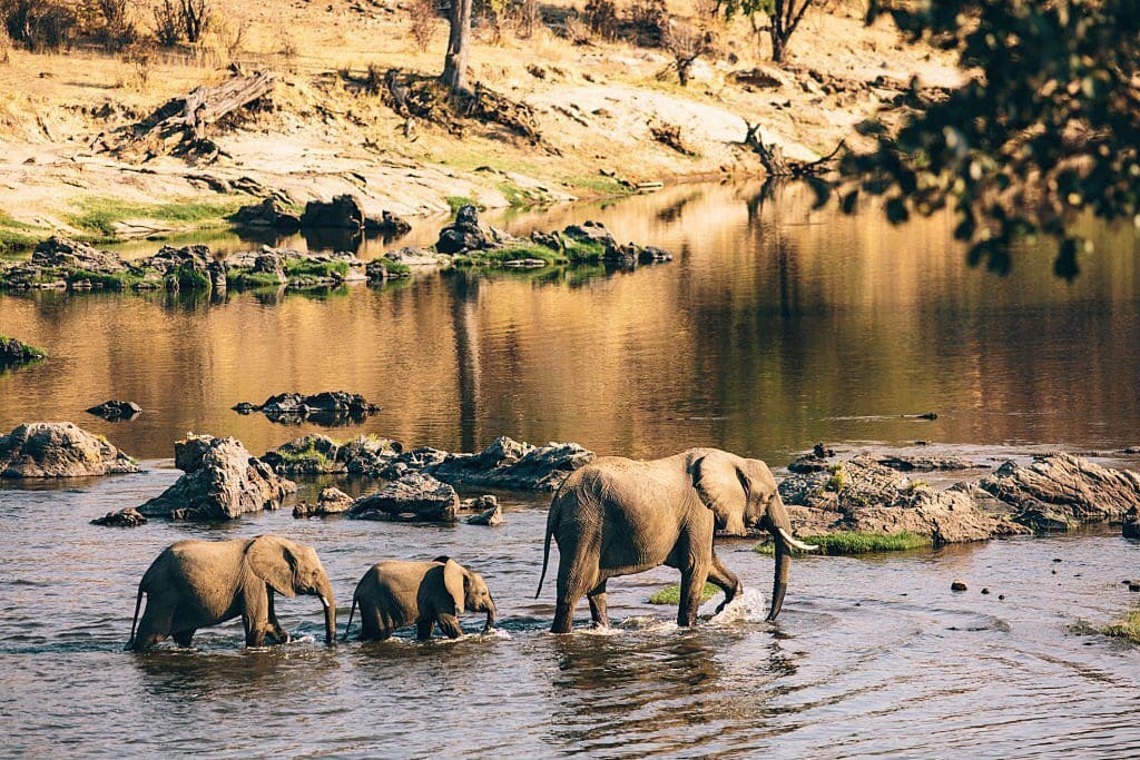 Best Tanzania Safari