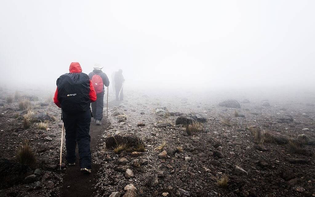 Mastering the Mountain: The Ultimate Tips Training  for Kilimanjaro Success