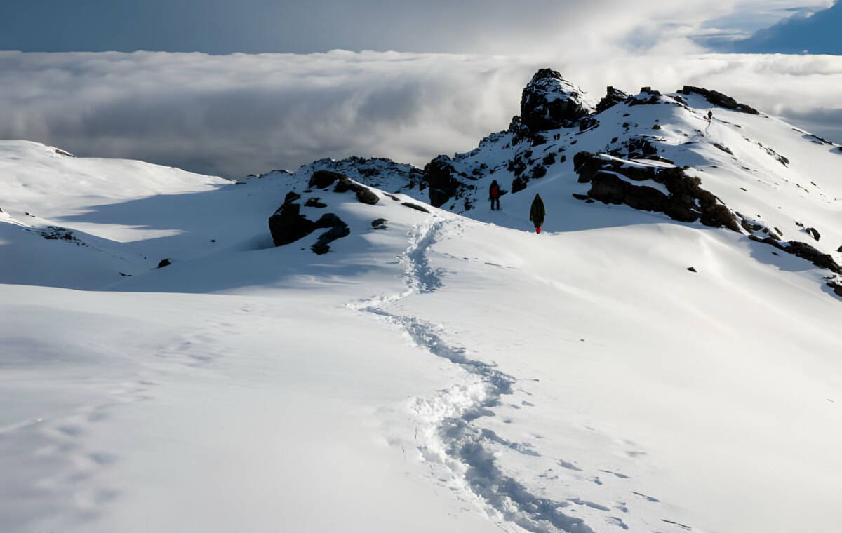 Acclimatization on Kilimanjaro